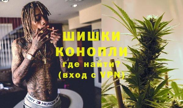 хмурый Верея