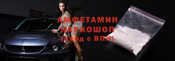 хмурый Верея