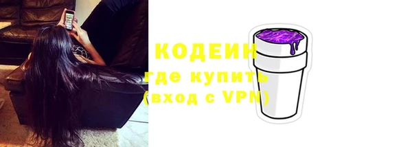 хмурый Верея