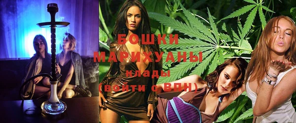 хмурый Верея