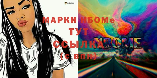 хмурый Верея