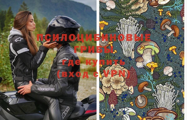 хмурый Верея