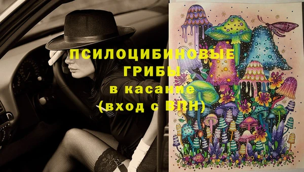 соль курить ск Верхний Тагил