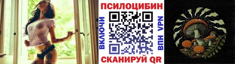 Псилоцибиновые грибы прущие грибы  цена наркотик  Чистополь 